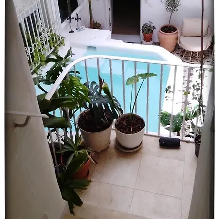 Casa Patio Sur 公寓 赫雷斯